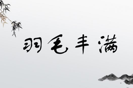 羽毛丰满