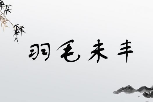 羽毛未丰