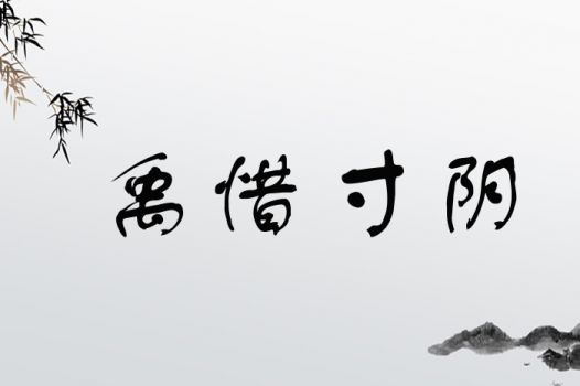 禹惜寸阴