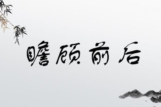 瞻顾前后