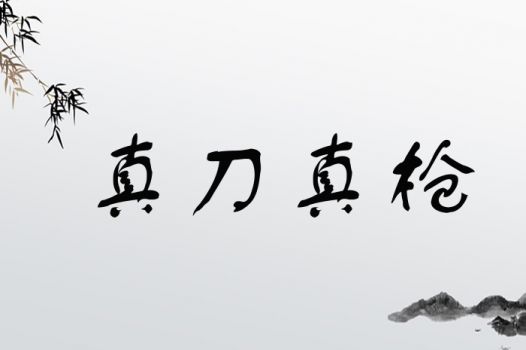 真刀真枪