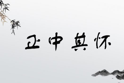 正中其怀