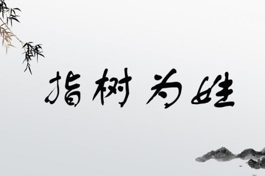 指树为姓