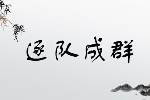 逐队成群
