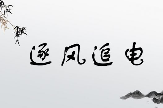 逐风追电