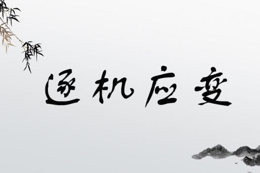 逐机应变