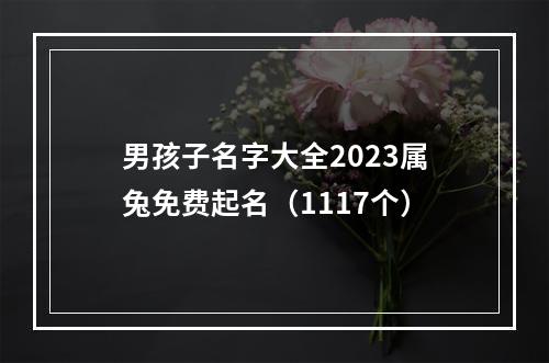 男孩子名字大全2023属兔免费起名（1117个）