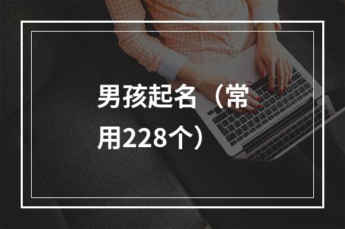 男孩起名（常用228个）