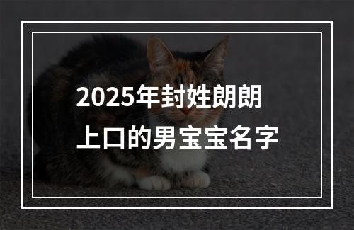 2025年封姓朗朗上口的男宝宝名字