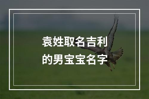 袁姓取名吉利的男宝宝名字