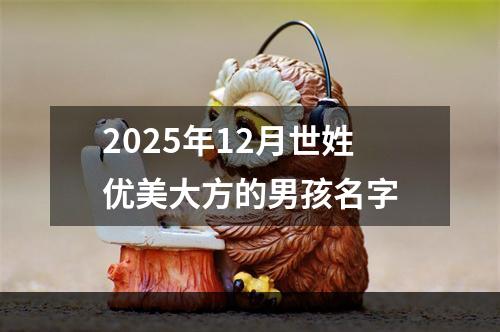 2025年12月世姓优美大方的男孩名字