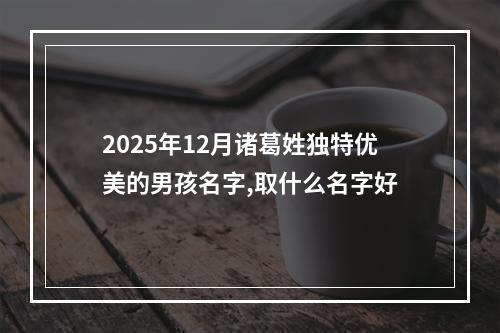 2025年12月诸葛姓独特优美的男孩名字,取什么名字好