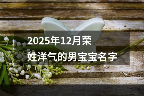 2025年12月荣姓洋气的男宝宝名字