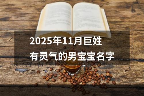 2025年11月巨姓有灵气的男宝宝名字