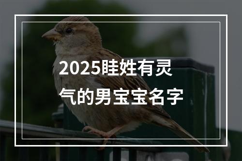 2025眭姓有灵气的男宝宝名字