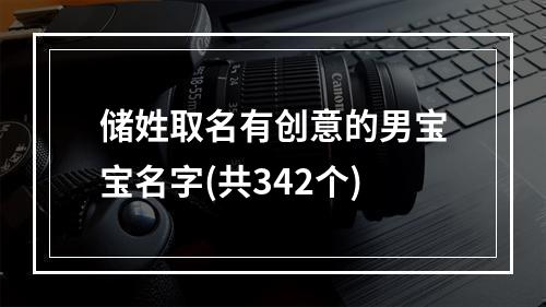 储姓取名有创意的男宝宝名字(共342个)