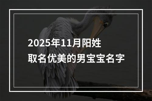 2025年11月阳姓取名优美的男宝宝名字