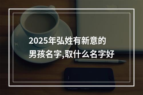 2025年弘姓有新意的男孩名字,取什么名字好