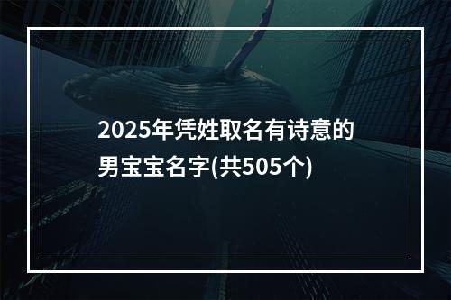 2025年凭姓取名有诗意的男宝宝名字(共505个)