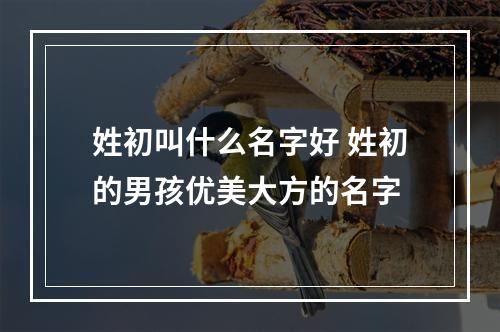 姓初叫什么名字好 姓初的男孩优美大方的名字