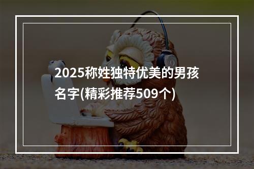 2025称姓独特优美的男孩名字(精彩推荐509个)