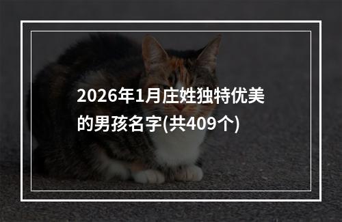 2026年1月庄姓独特优美的男孩名字(共409个)