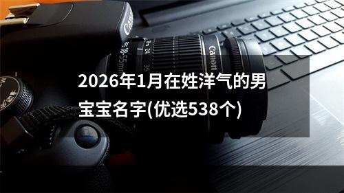 2026年1月在姓洋气的男宝宝名字(优选538个)