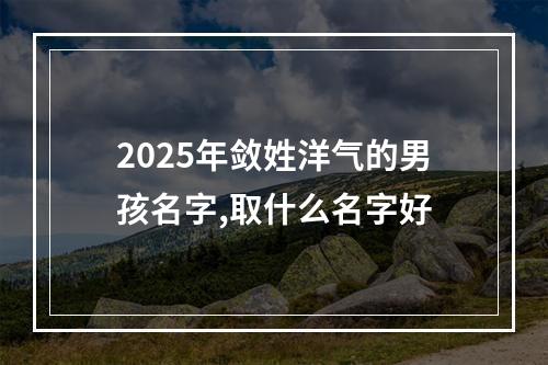 2025年敛姓洋气的男孩名字,取什么名字好
