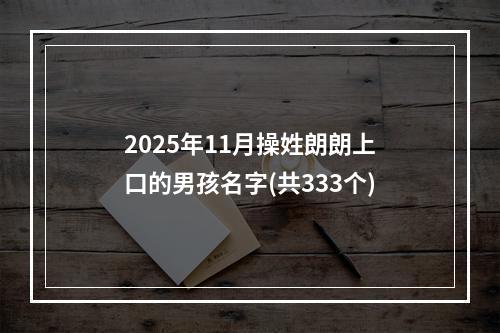 2025年11月操姓朗朗上口的男孩名字(共333个)