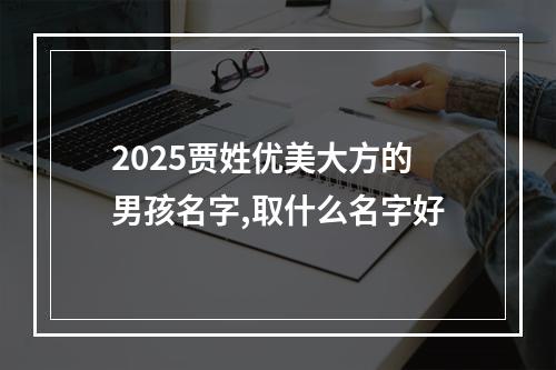 2025贾姓优美大方的男孩名字,取什么名字好