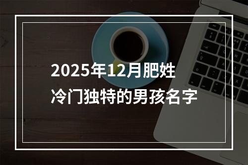 2025年12月肥姓冷门独特的男孩名字
