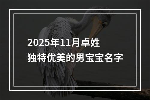 2025年11月卓姓独特优美的男宝宝名字