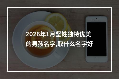 2026年1月坚姓独特优美的男孩名字,取什么名字好