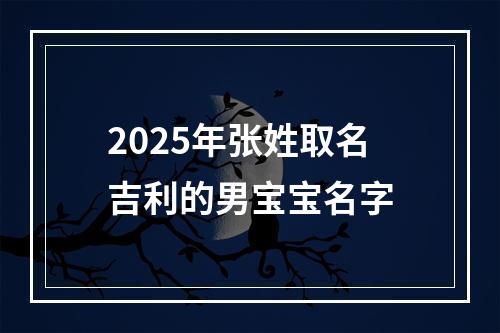 2025年张姓取名吉利的男宝宝名字