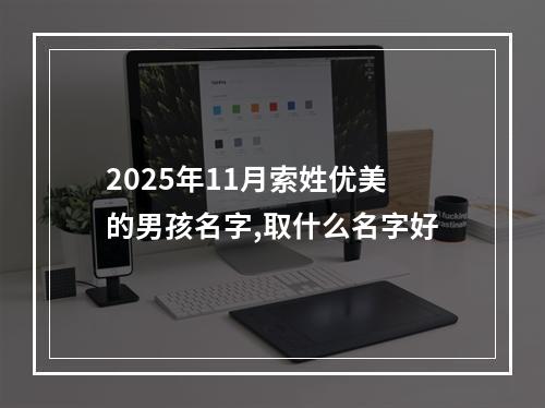 2025年11月索姓优美的男孩名字,取什么名字好