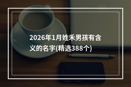 2026年1月姓禾男孩有含义的名字(精选388个)