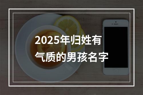2025年归姓有气质的男孩名字