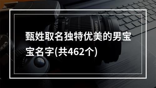 甄姓取名独特优美的男宝宝名字(共462个)