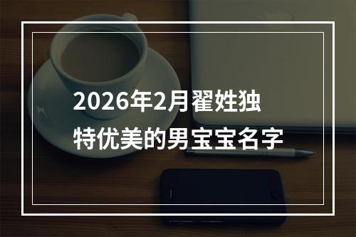 2026年2月翟姓独特优美的男宝宝名字
