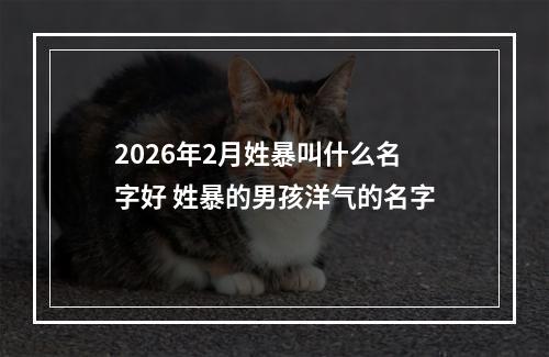 2026年2月姓暴叫什么名字好 姓暴的男孩洋气的名字
