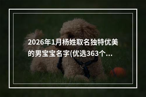 2026年1月杨姓取名独特优美的男宝宝名字(优选363个)