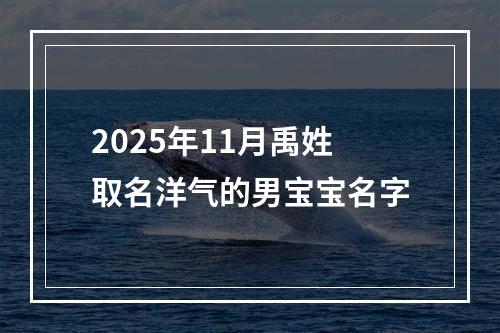 2025年11月禹姓取名洋气的男宝宝名字