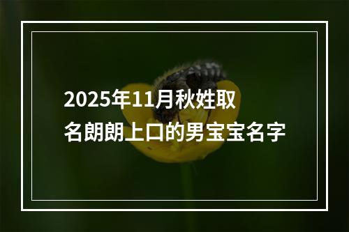 2025年11月秋姓取名朗朗上口的男宝宝名字