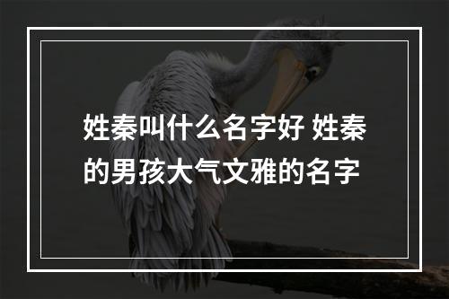姓秦叫什么名字好 姓秦的男孩大气文雅的名字