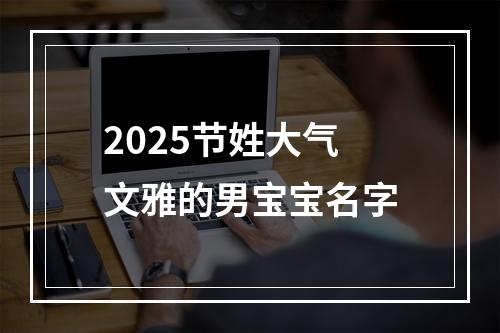 2025节姓大气文雅的男宝宝名字