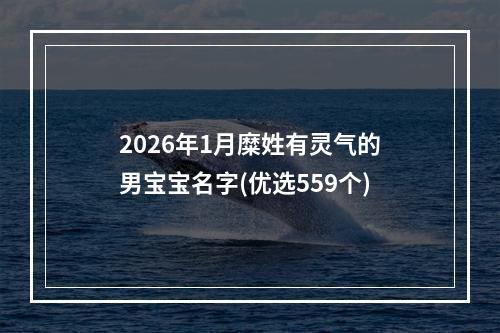 2026年1月糜姓有灵气的男宝宝名字(优选559个)