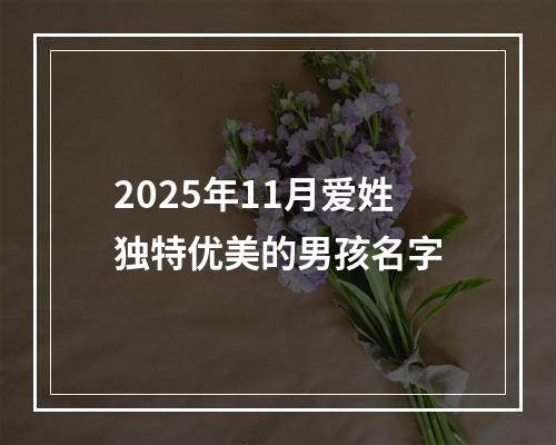 2025年11月爱姓独特优美的男孩名字