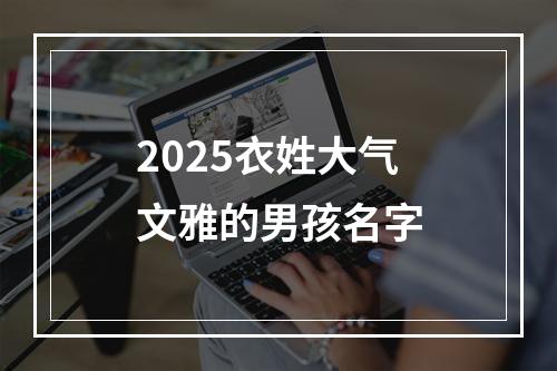 2025衣姓大气文雅的男孩名字