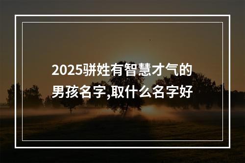 2025骈姓有智慧才气的男孩名字,取什么名字好