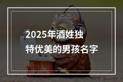 2025年酒姓独特优美的男孩名字